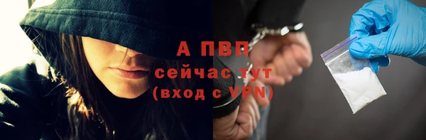 гашик Михайловск