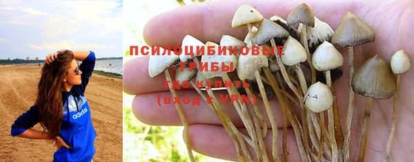 ешки Михайлов